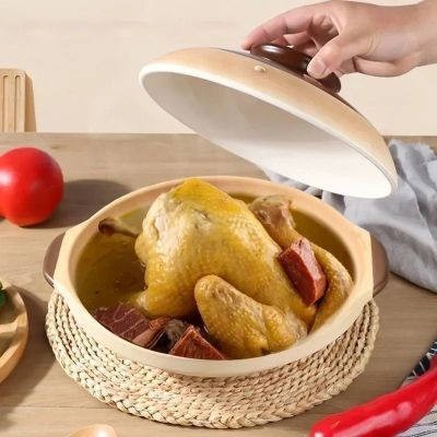 cocotte en céramique au four cuisson poulet