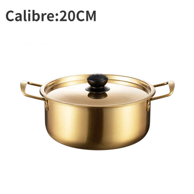marmite-inox-caracteristiques-20-cm