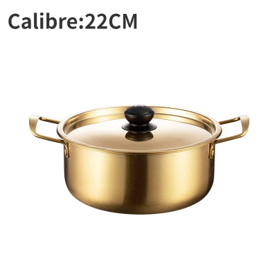 marmite-inox-caracteristiques-22-cm