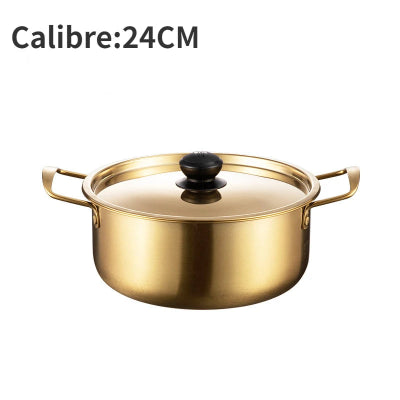 marmite-inox-caracteristiques-24-cm