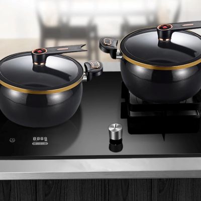 deux marmites_micro_pression_26 cm sur plaque_gaz_et_plaque induction